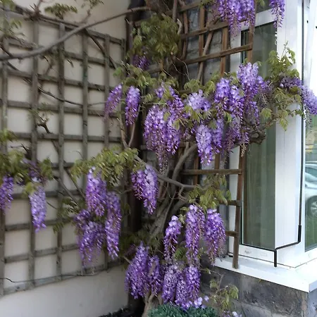 Hotel Hotel Vezzano Vezzano (Trento)